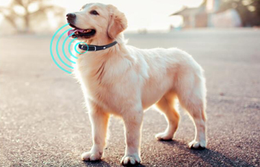 Grepow ultra-thin battery for pet tracker devices