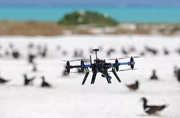 Drones can be used by relevant agencies for deterring hunters in protected areas.