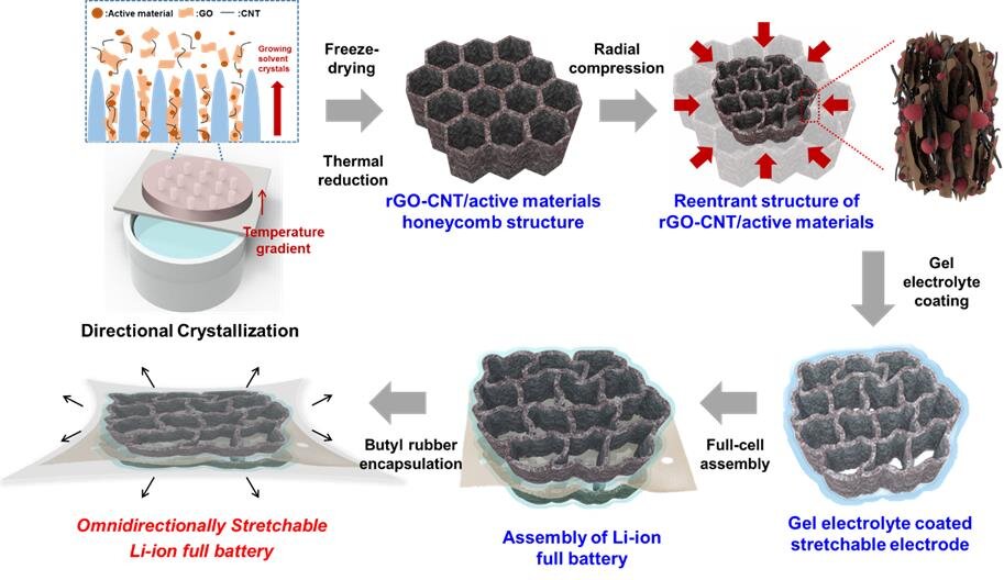 Schematic diagram of stretchable battery manufacturing process Credit: Korea Institute of Science and Technology (KIST)