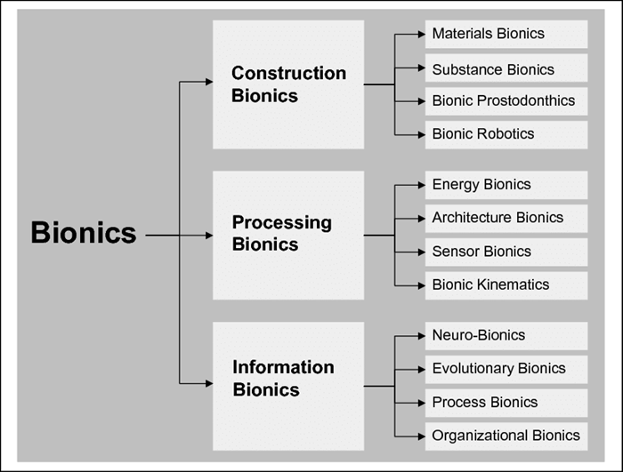 700 Bionics-its-main-areas-and-fields-of-applications-12 (Pic from Ralf Albert Isenmann ).png