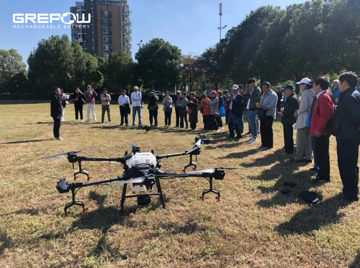 Large Drone Training