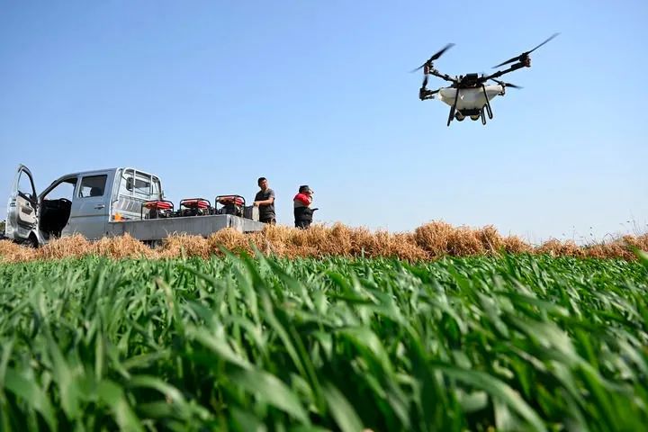 Low-Altitude Economy-Agriculture